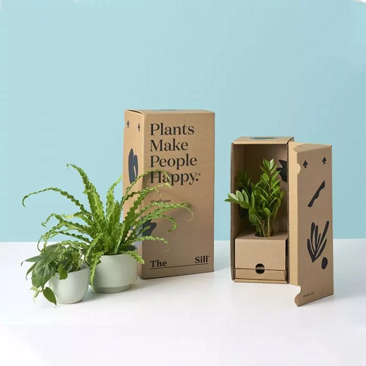 Browm Corrugated Mailer Box